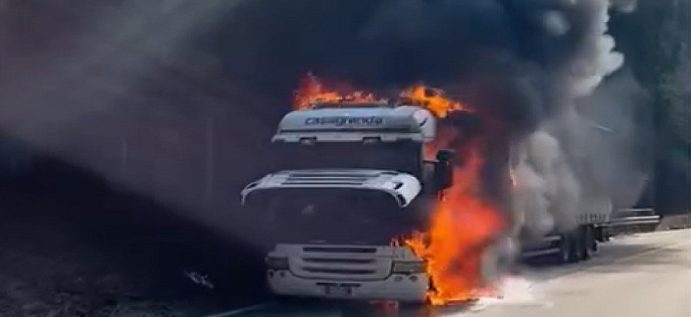 Le fiamme avvolgono un camion: il pauroso incendio si estende anche al bosco